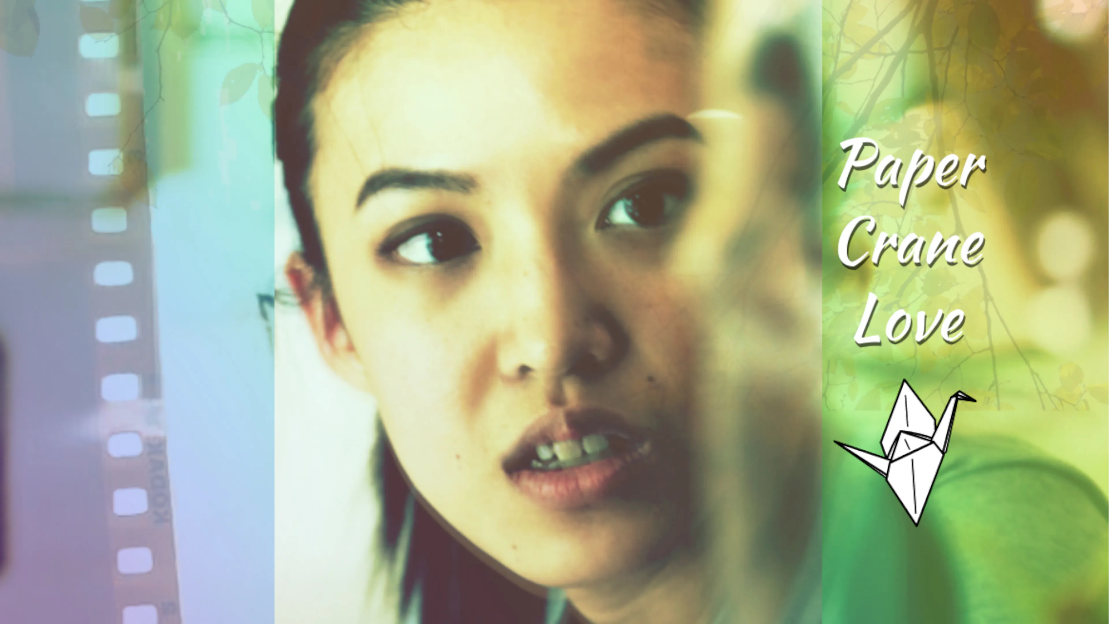 Paper Crane Love poster